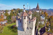 Die Museggmauer in Luzern bietet nicht nur den Besuchern viel. Zugvögel, Fledermäuse, Bienen und Pflanzen finden hier einen selten gewordenen Lebensraum.