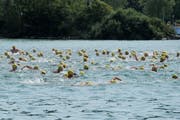 600 Teilnehmer werden am 21. August entweder schwimmend oder auf einem Stand-Up-Paddle das Luzerner Seebecken überqueren. Im Bild: Die Seeüberquerung 2013. (Bild: Boris Bürgisser / Neue LZ)