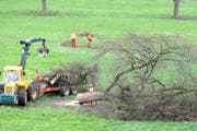 Die beiden Arbeiter (hinten) stiessen auf die Funde, die eine Notgrabung notwendig machen. (Bild: PD)