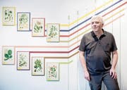 Ebbe Nielsen, stv. Kantonsarchäologe, vor Exponaten der aktuellen Ausstellung im Natur-Museum. (Bild: Boris Bürgisser (Luzern, 22. Dezember 2017))