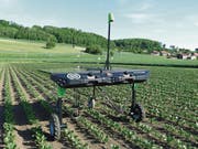 Landwirtschaftsroboter der Firma Ecorobotix: sparsamerer Umgang mit Chemikalien. (Bild: PD)