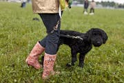 Eine Frau mit ihrem Tier in der Hundeschule. (Bild: Keystone)