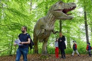 So wie hier an der Dino-Ausstellung 2013 in Emmen wird es bald auch in Hünenberg aussehen. (Bild Eveline Beerkircher)