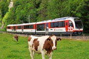 Ein «Fink» der Zentralbahn. Fünf dieser Kompositionen will die ZB bestellen. (Bild: PD)