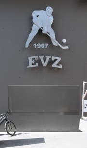 Das Kunstwerk beim Haupteingang der Bossard-Arena. (Bild: PD)