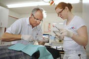 Ein Arzt untersucht einen Patienten. (Bild Boris Bürgisser/Neue LZ)