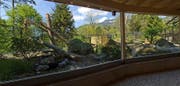 Blick in das neue, grössere Wildkatzengehege. (Bild: pd)