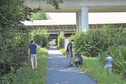 Polizisten suchen am Tag nach der Vergewaltigung am Dammweg in Emmen nach Spuren. (Bild: Beatrice Vogel (22. Juli 2015))