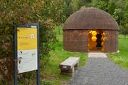 Ausstellung zur Honigbiene im Bienenkorb. (Bild: Tierpark Goldau)
