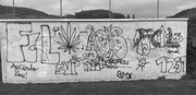 Die Schmierereien an der Sportanlage in Büron. (Bild: pd)
