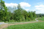 Der Lorzenweg zwischen Cham und Hagendorn ist fertig gestellt und wie hier im Bereich Brunnmatt für Erholungssuchende bereit. (Bild: pd)