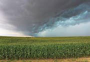 Eine Sturmfront über einem Maisfeld im US-Bundesstaat Nebraska. (Bild: Ryan McGinnis/Getty (Kearney))