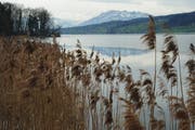 Der Weg um den Baldeggersee soll bis 2016 Realität werden. (Bild: Archiv Neue LZ)