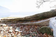 Musterung im Gestein. Hier wurden Blöcke herausgearbeitet. (Bild: Usah Fath)
