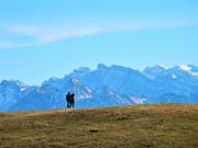 Warum die Liebe zum Wandern so gross ist, betrachtet doch einfach mal diese wunderschöne Umgebung ! Aufgenommen auf dem Raten zum Gottschalkenberg. (Bild: Leserbild: Margrith Imhof-Röthlin)