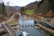 In diesem Bereich unterhalb des Wichelsee-Wehrs in Alpnach soll ein künftiger Stollen im Rahmen des Hochwasserschutzprojektes Sarneraa von rechts in die Sarneraa/Grosse Schliere einmünden. (Bild: Robert Hess / Neue OZ)