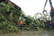 In Oberägeri stürzte ein Baum auf ein Hausdach. Verletzt wurde niemand. (Bild: Zuger Polizei)