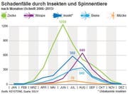 Bild: pd