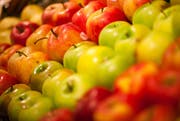 Ein Teil des Obstes wird im Detailhandel aussortiert und weggeworfen, obwohl es noch geniessbar ist. Dem wird in Luzern mit dem Projekt "Food Save Luzern" Abhilfe geschaffen. Obst und Gemüse wird eingesammelt der Bevölkerung zur Verfügung gestellt (Tipp 3). (Symbolbild Dominik Wunderli / LZ (Küssnacht, 18. Mai 2012))