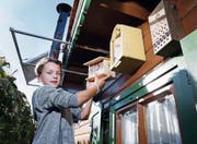 Leo freut sich über den Zuwachs: Er bringt den Nistplatz für Wildbienen sogleich an. (Bild: Werner Schelbert (Steinhausen, 17. Oktober 2017))