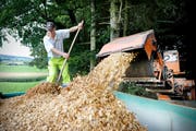 Das soll das zukünftige Heizmaterial der fün Litauer Schulhäuser sein: Holzschnitzel (Im Bild Holzschnitzelgewinnung in Alpnach). (Bild: Pius Amrein / Neue LZ)