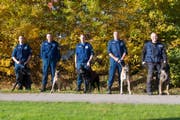 Die fünf Teams der zugerischen Polizeihundeprüfung. (Bild: Zuger Polizei)