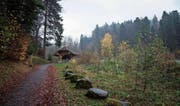 In einem Waldstück, abseits der Strasse etwas oberhalb der Hergiswaldbrücke, fand die Hinrichtung statt. (Bild: Manuela Jans-Koch (Hergiswald, 9. November 2017))