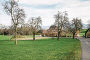 Der Schein von heiler Welt trügt: Am Krienser Schattenberg unweit des «Burestübli» tobt ein heftiger Rechtsstreit. (Bild: Manuela Jans-Koch (Kriens, 24. November 2017))