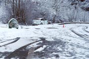 Das Auto landete im Gebüsch. (Bild: Kapo Schwyz)