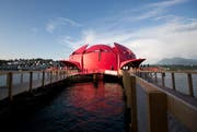 Die Seerose, hier beim Luzerner Inseli, wird nicht vor Vitznau ankern. (Bild: Manuela Jans / Neue LZ)