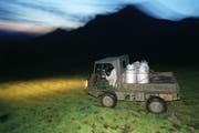 Symbolbild. (Symbolbild Gatean Bally / Keystone (Axalp, 21. Juli 2003))