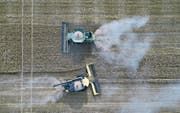 John-Deere-Mähdrescher in Zurich im Bundesstaat Kansas. John Deere bleibt wichtiger Bossard-Kunde. (Bild: Daniel Acker/Getty (29. Juni 2017))