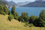Rütliwiese in Seelisberg (Bild: PD / Felix Jungo)