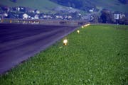 Der Pilot war oberhalb der Landebahn des Flugplatzes Alpnach (im Bild), wähnte sich aber über Buochs. (Bild: Markus von Rotz / Neue OZ)