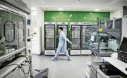 Szene aus einem Forschungslabor der Novartis im chinesischen Schanghai. (Bild: Qilai Shen/Getty (Schanghai, 1. Juni 2016))