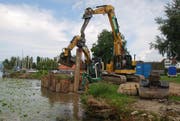 Lastwagen um Lastwagen transportieren in diesen Tagen Erdmaterial ins Pfäffiker Ried, um die weggespülten Flachufer wieder zu ersetzen. (Bild: PD)