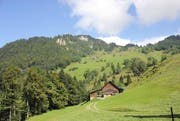 Der Wellenberg in Wolfenschiessen. (Bild: Archiv NZ)