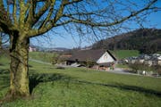 Die Gemeinde Horw will das Land des Bauernhof Grämlis an andere Landwirte auf der Halbinsel aufteilen. (Bild: Boris Bürgisser (Neue LZ) (Neue Luzerner Zeitung))