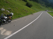 Ein Motorradfahrer verletzte sich in Wassen bei einem Selbstunfall. (Bild: Urner Polizei)