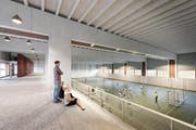 So soll die Dreifach-Sporthalle dereinst aussehen. (Bild: pd (Visualisierung))