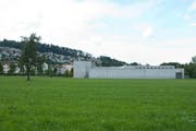Auf der Wiese südlich der Haftanstalt Grosshof in Kriens soll das Asylzentrum enstehen. (Bild: Archiv/Dominik Wunderli / Neue LZ)