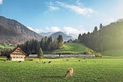 Ein klassischer Frühlingsausflug: Die Fahrt mit dem Kambly-Zug durch das idyllische Emmental.