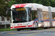 Der 1er-Bus im Luzerner Maihofquartier. (Bild: Eveline Beerkircher)