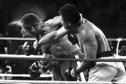Der legendäre «Rumble in the Jungle» 1974 in Kinshasa: Ali schlägt George Foreman nieder. (Bild: Keystone/Ed Kolenovsky)