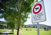 Das neu signalisierte Hundeverbot beim Sportfeld Risch in Ebikon. (Bild Corinne Glanzmann)