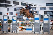 Zuger Springkonkurrenz: Auf dem Weg zu Rang 4 in der Championatsprüfung: der Wolhuser Jason Smith mit dem 11-jährigen Wallach Darcon Scheefkasteel Z. (Bild Katja Stuppia)