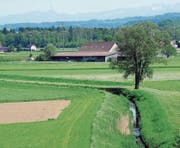 Der Einsatz von Pestiziden in der Landwirtschaft ist umstritten. (Bild: Nana do Carmo (Wigoltingen, 11. Mai 2012))
