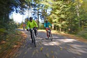 Die neue Veloroute führt auf fast 120 Kilometern durchs Seetal. (Bild PD)