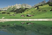 Das Ausgleichsbecken Leematt des KW Schächental. (Bild: KWS)