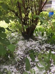 Im Garten unserer Leserbild-Reporterin liegen am Dienstagnachmittag dicke Hagelkörner. (Bild: Leserbild Sandra von Holzen (18. Juli 2017, Engelberg))